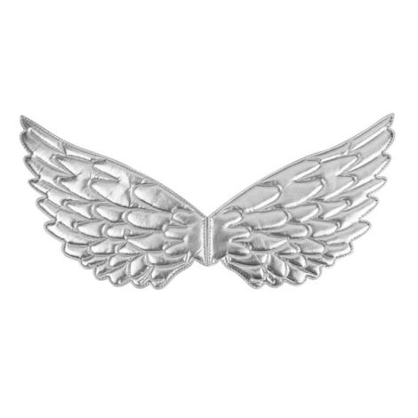 Aripi argintii copii - imagine 9